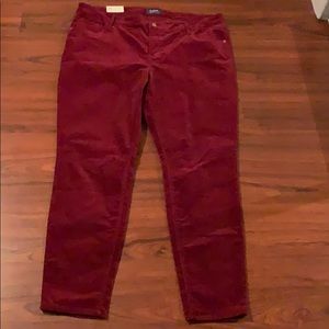 Burgundy velvet stretchy pants